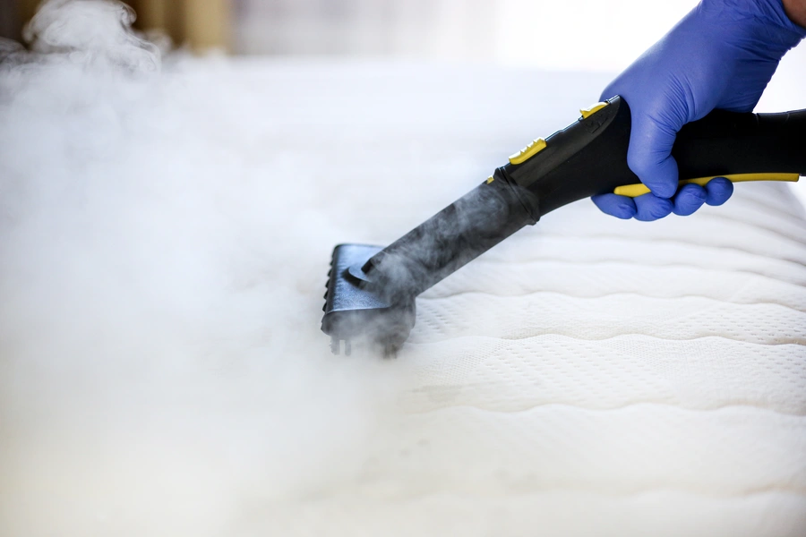 Experienced Steam Cleaning Panama City Beach, FL