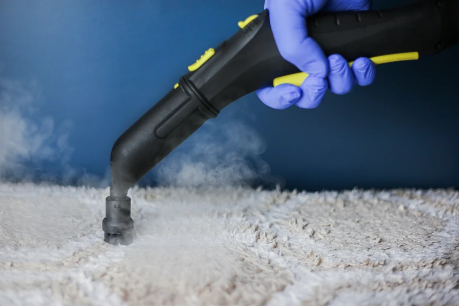 How Often Should You Schedule Professional Steam Cleaning Panama City Beach, FL How Often Should You Schedule Professional Steam Cleaning Panama City Beach, FL