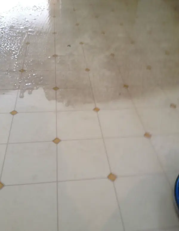 Reliable Upholstery Cleaning