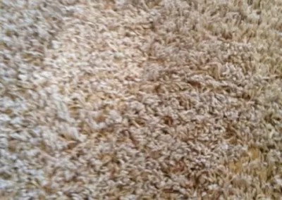 Rug Cleaning (3)